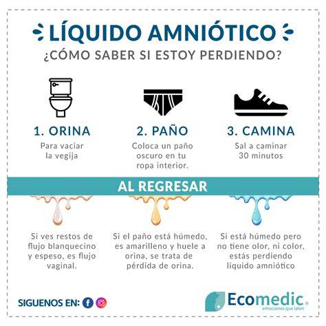 Infografía comparativa: líquido amniótico, orina y flujo vaginal