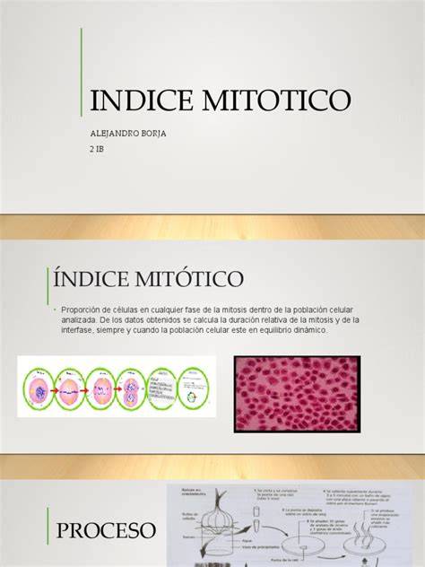 Gráfico de barras comparando el índice mitótico y el índice de poliploidías entre las diferentes variantes de cultivo (directo, centrifugado, expandido).