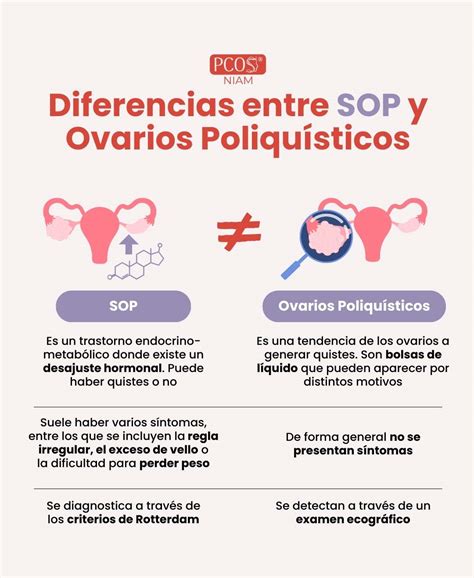 Microscopía de ovarios fetales, mostrando la diferencia entre un ovario control y uno expuesto a ibuprofeno, destacando las células germinales dañadas.