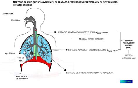 Infografía sobre los beneficios fisiológicos del lavado del espacio muerto y la humidificación en la vía aérea pediátrica