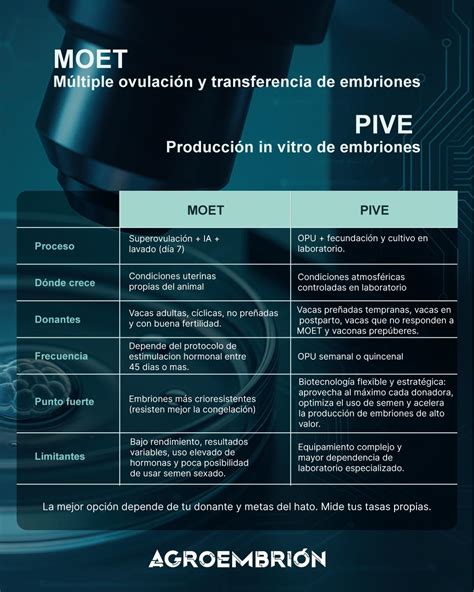 Diagrama comparativo entre MOET (superovulación convencional) y OPU-IVP (producción in vitro).