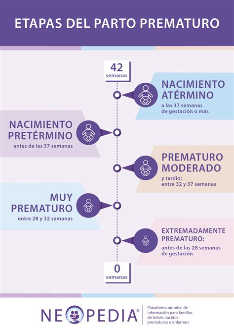 Infografía que muestra las categorías de prematuridad: extremo (menos de 28 semanas), muy prematuro (28-32 semanas) y moderado-tardío (32-37 semanas).