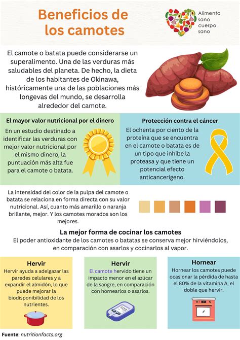 Infografía sobre los beneficios nutricionales del camote para bebés