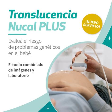 infografía detallando los pasos para la correcta medición de la translucencia nucal