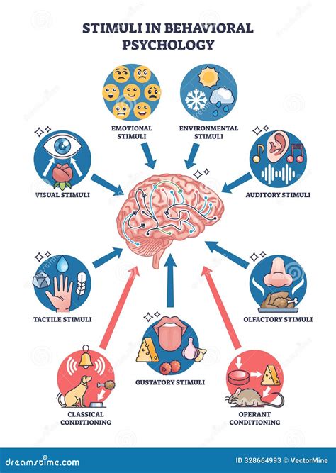 Infografía comparativa: respuesta cerebral ante estímulos auditivos en fetos y neonatos.
