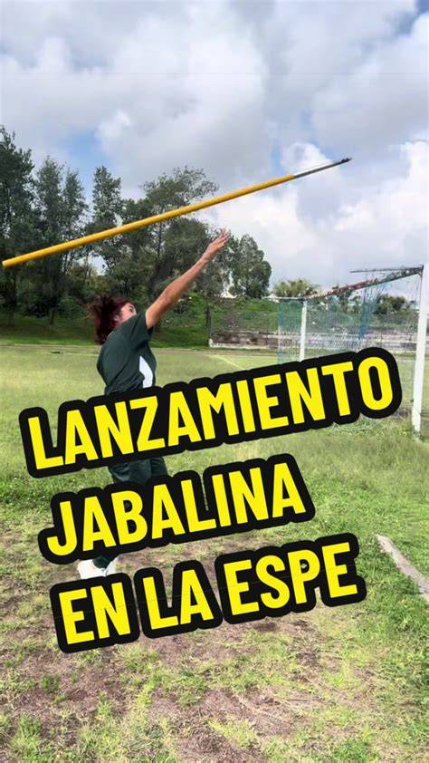 Jabalina recogiendo material para el encame
