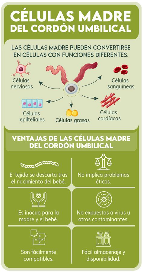Infografía: Enfermedades tratables con células madre del cordón umbilical