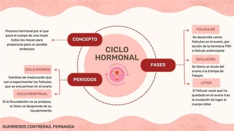 Infografía que muestra el ciclo hormonal del embarazo y su impacto en la resistencia a la insulina.
