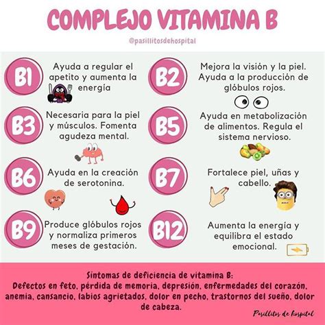 Infografía sobre las funciones de las vitaminas del complejo B en el sistema nervioso