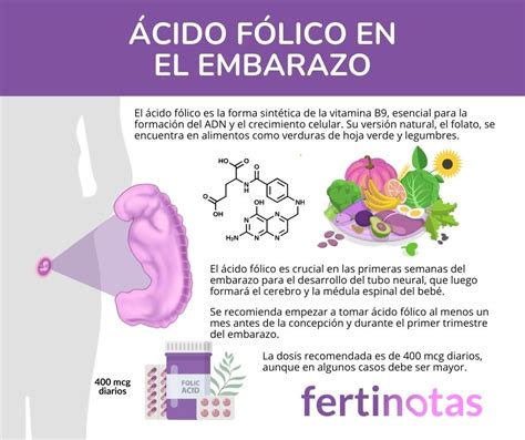 Tabla de alimentos recomendados durante el embarazo por su contenido en ácido fólico y nutrientes