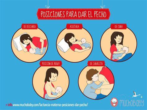 Infografía de diferentes posiciones de lactancia materna