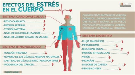 Diagrama mostrando el impacto del estrés en el sistema reproductivo femenino