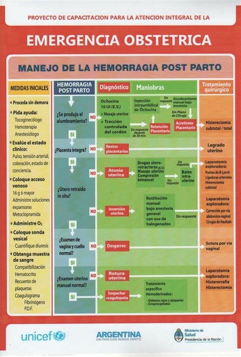 Esquema de las principales emergencias obstétricas y sus riesgos asociados