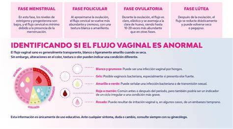 Infografía comparativa: Características del flujo vaginal en la etapa fértil frente a la etapa menopáusica.