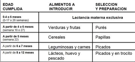 Esquema nutricional comparativo: aporte de hierro y cereales en papillas infantiles