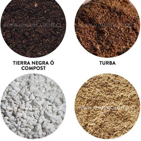 Muestra de diferentes tipos de suelo, destacando la turba y la arcilla