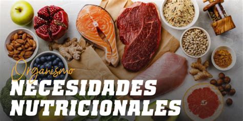 Esquema de las necesidades nutricionales de las palomas para la puesta de huevos