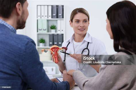 Ilustración de una pareja interactuando con un especialista en fertilidad, discutiendo la adopción de embriones.