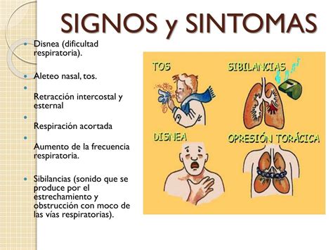 Cachorro mostrando signos de dificultad respiratoria y letargo.