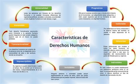 Infografía mostrando las características principales de los protectores Rubbermaid (material, protección, tamaño)