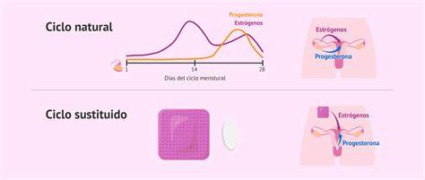 Infografía comparativa: Ciclo sustituido vs. Ciclo natural para preparación endometrial