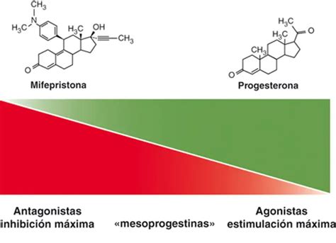 Esquema del mecanismo de acción de la mifepristona y el misoprostol