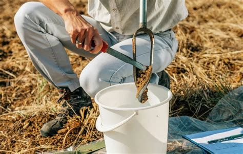 Ilustración comparativa de métodos de muestreo de suelo: en X, en zigzag y en cuadrícula.