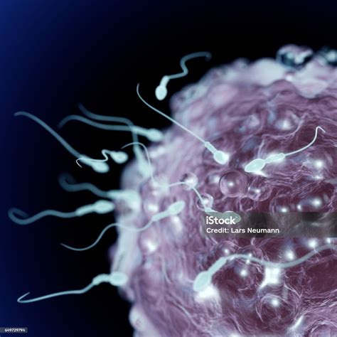 Ilustración de espermatozoides, algunos en movimiento y otros inmóviles, con flechas indicando posibles técnicas de estimulación.