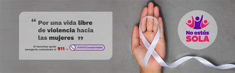 Esquema de las instituciones de apoyo a víctimas de violencia de género en España