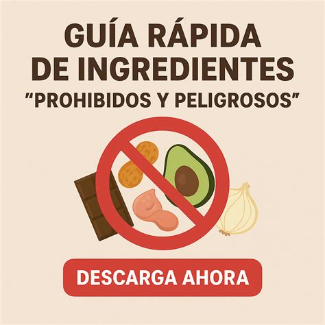 Infografía comparativa: ingredientes permitidos frente a ingredientes prohibidos en la rutina de belleza durante el embarazo