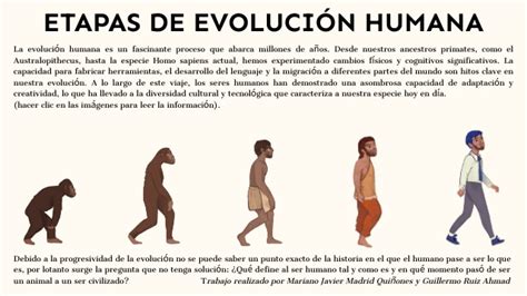 Esquema de la evolución de la visión y la coordinación mano-ojo en el lactante