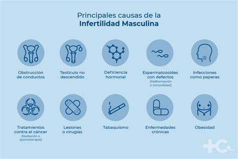 Gráfico que muestra la distribución de las causas de infertilidad masculina (hormonal, genética, etc.).