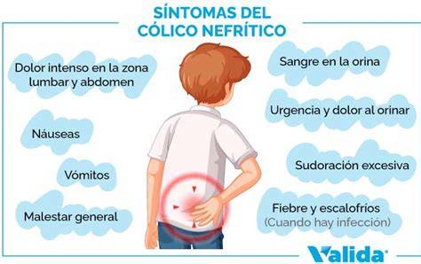 Infografía comparativa: síntomas de dolor muscular lumbar frente a síntomas de cólico renal (litiasis) en embarazadas.