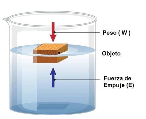 Bolsa de tela con estiércol sumergida en un cubo de agua