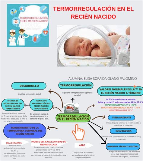 Infografía sobre medidas de termorregulación neonatal
