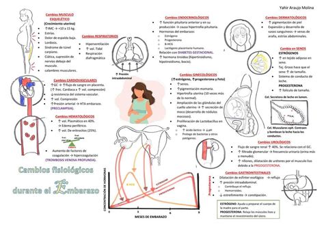 Diagrama que ilustra los cambios en la vía aérea superior durante el embarazo, resaltando el edema y la posible dificultad de intubación.