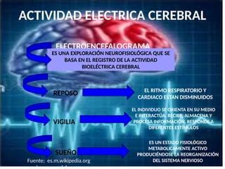 Esquema explicativo de la actividad eléctrica cerebral normal frente a la descarga anómala durante una crisis epiléptica.