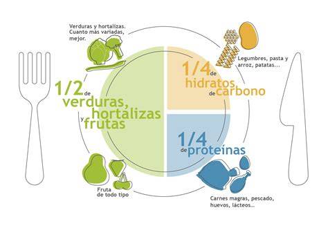 Esquema: Distribución de los grupos de alimentos en el plato diario de una ninfa adulta