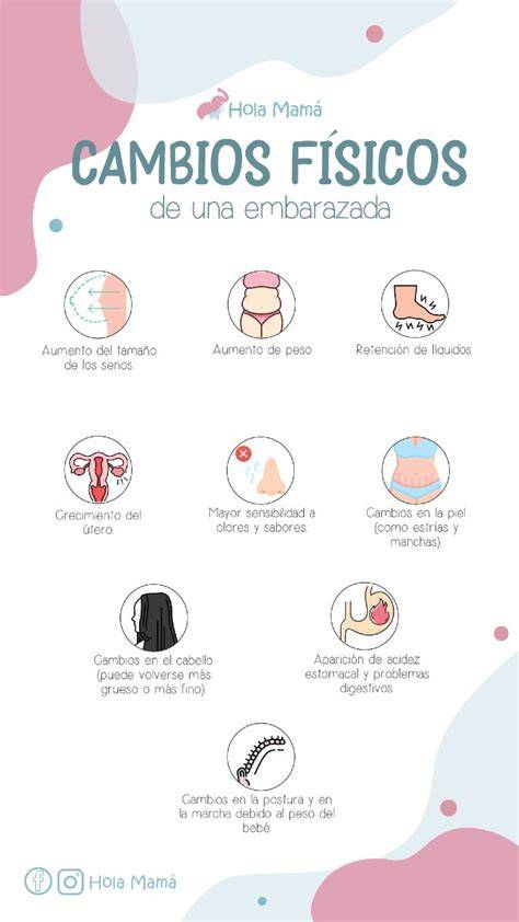 Infografía que muestra los cambios corporales comunes tras el parto: diástasis abdominal, flacidez y acumulación de grasa.
