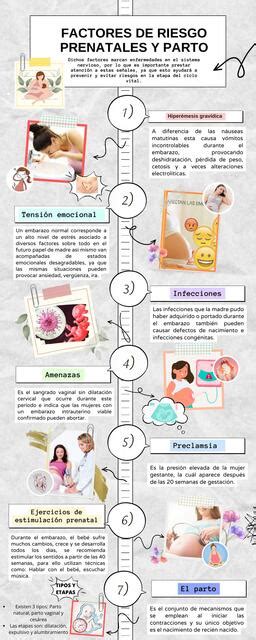 Infografía mostrando los factores de riesgo prenatales, perinatales y postnatales de la parálisis cerebral infantil.