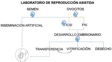 Esquema de laboratorio de reproducción asistida equipado con tecnología de vanguardia