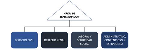 Infografía que muestra las diversas áreas de especialización de Clínicas Dorsia: estética mamaria, nutrición, ginecología estética y tratamientos faciales.