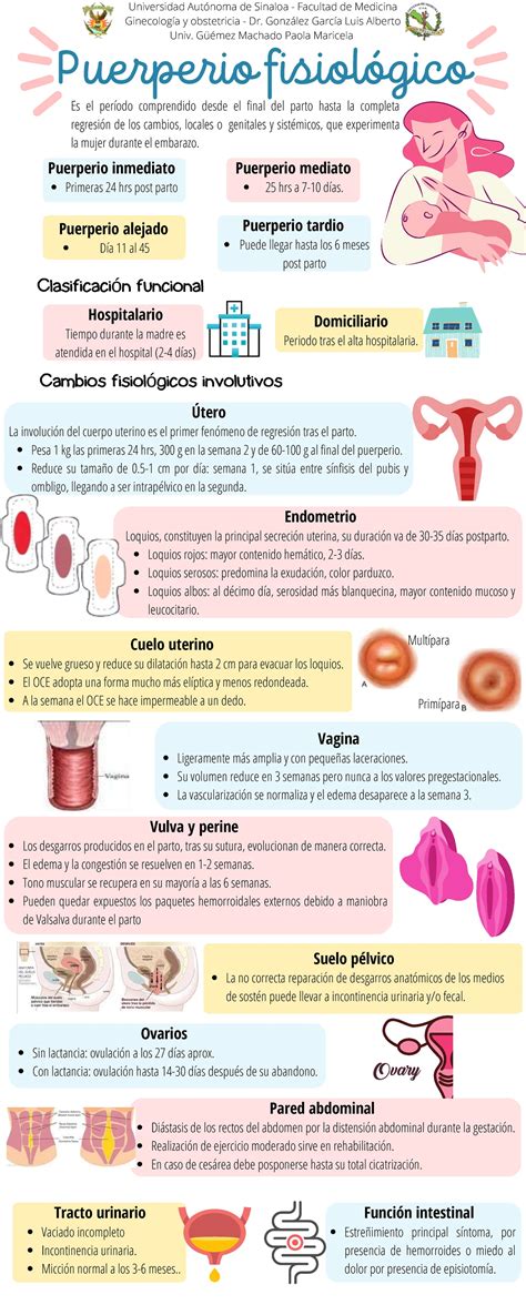 infografía detallando los cambios fisiológicos y hormonales en el cuerpo femenino durante el puerperio