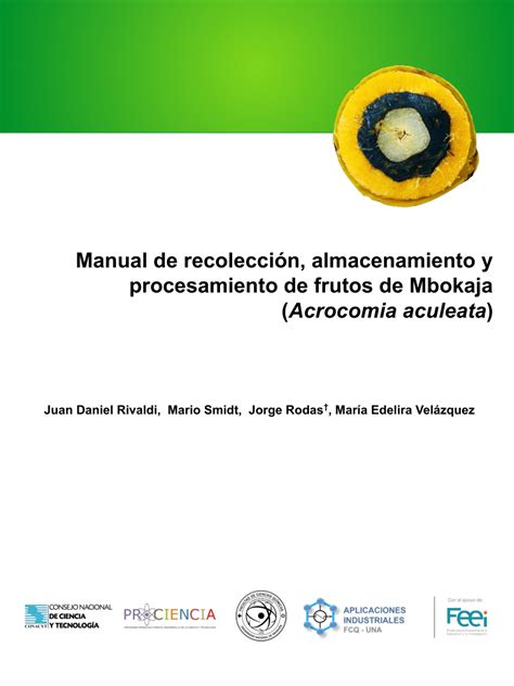 Recolección de frutos de Acrocomia aculeata en campo