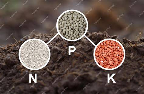Esquema detallado de los macroelementos NPK (Nitrógeno, Fósforo, Potasio) y su función en el desarrollo vegetal.