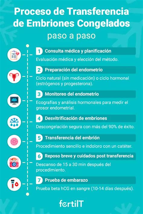 Tabla comparativa de precios de transferencia de embriones congelados en diferentes clínicas