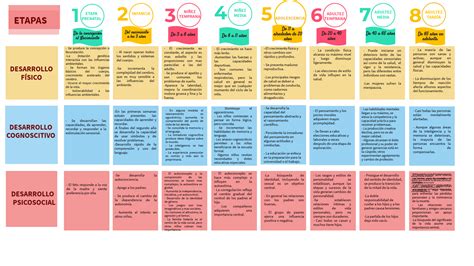 Esquema cronológico que muestra las etapas del desarrollo desde la concepción hasta el nacimiento, divididas en trimestres.