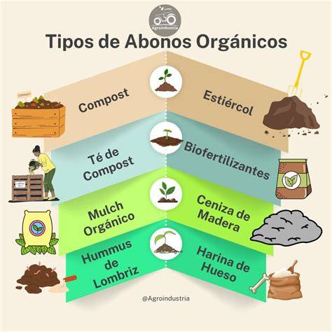 Infografía comparativa entre fertilizantes orgánicos (liberación lenta) y minerales (acción rápida)
