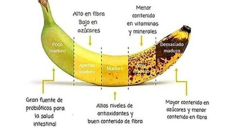 Infografía detallada de las fases de desarrollo del platanero y los nutrientes clave para cada una.