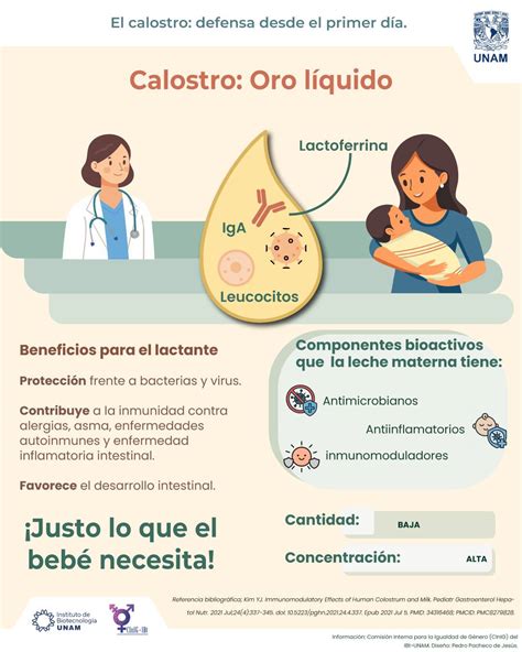 Infografía comparativa sobre la digestibilidad y el impacto del calostro en la microbiota intestinal del lactante.